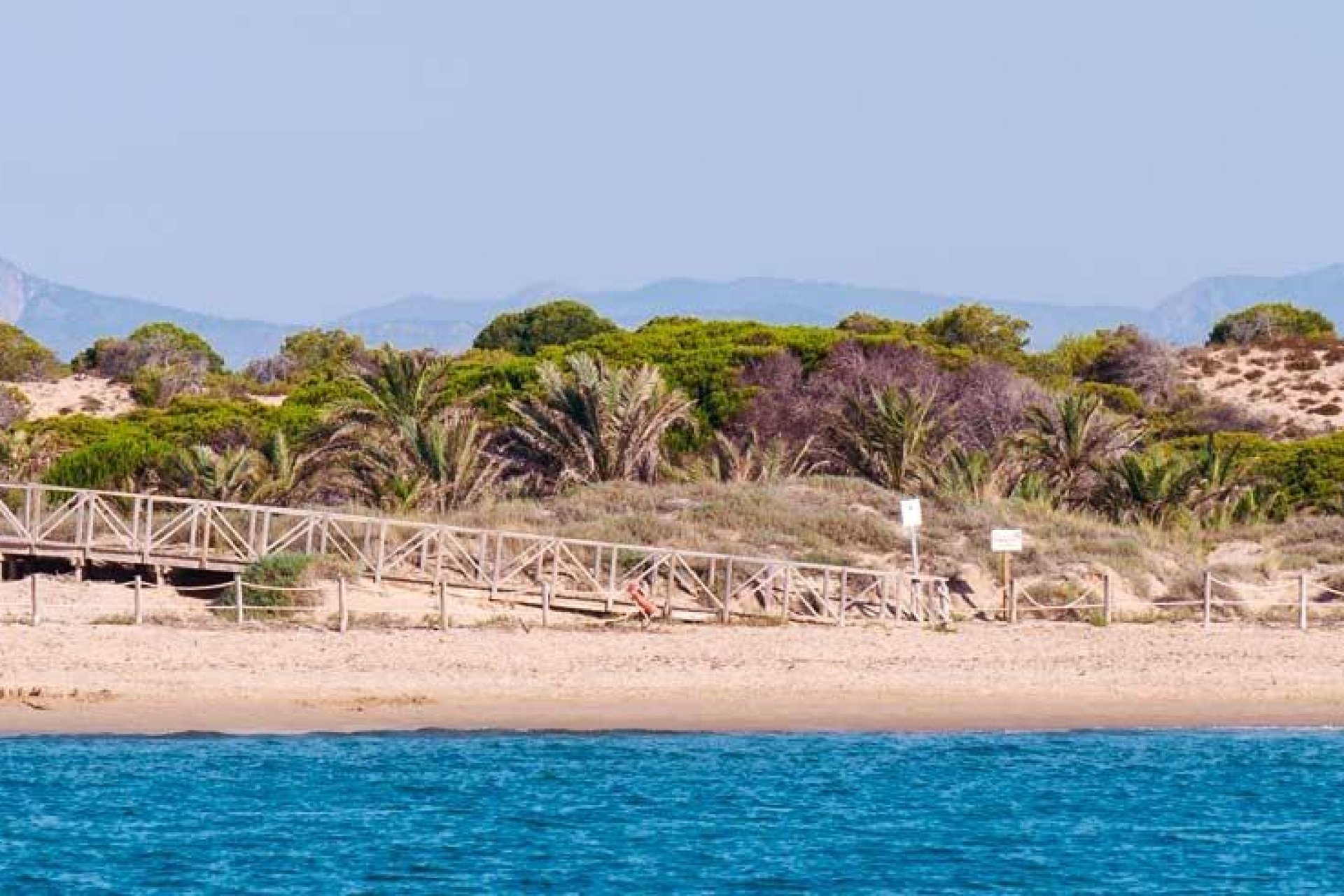 Nuevo - Apartments -
Guardamar del Segura - Guardamar