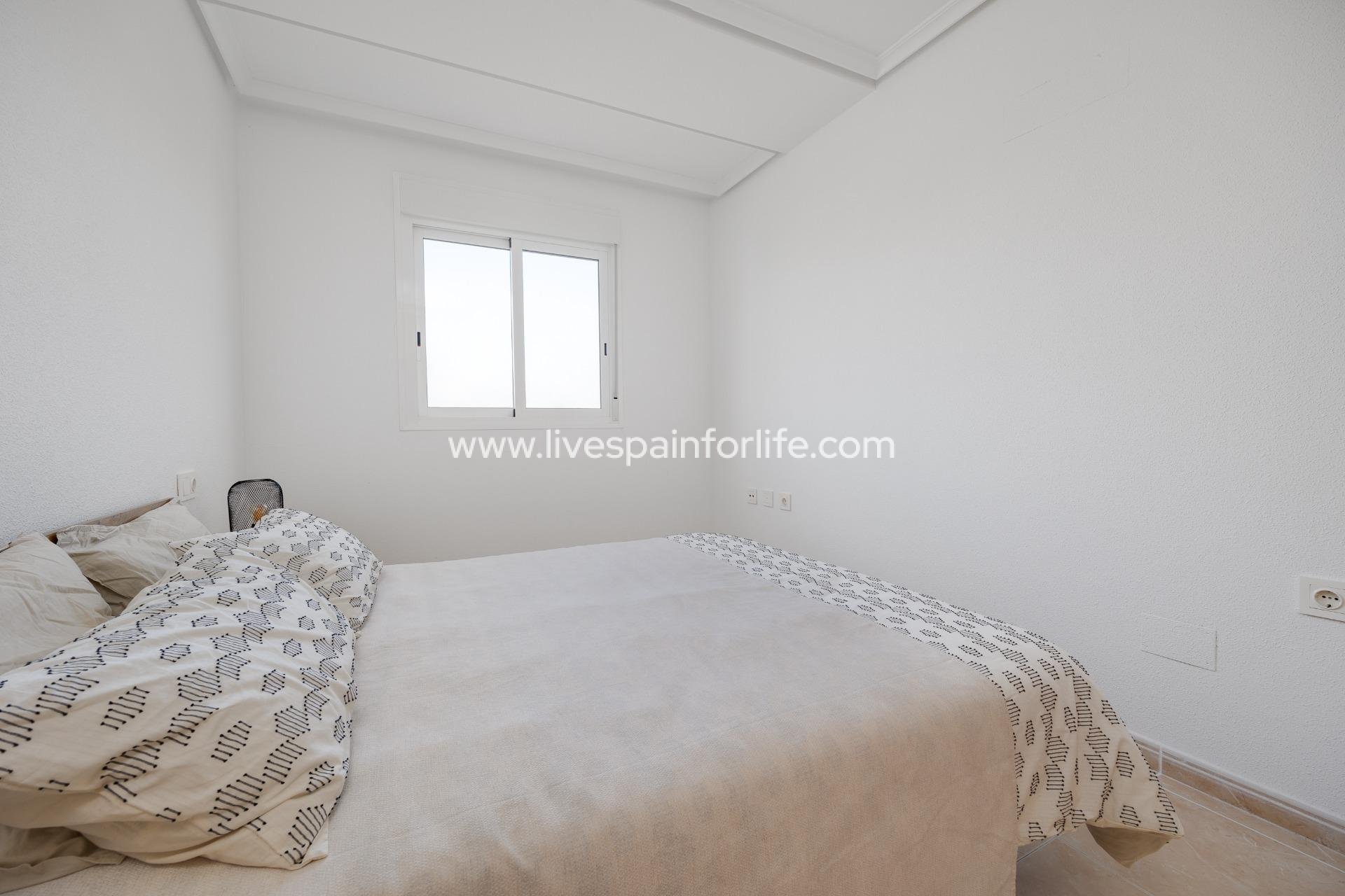 Nuevo - Apartments -
San Fulgencio - Pueblo