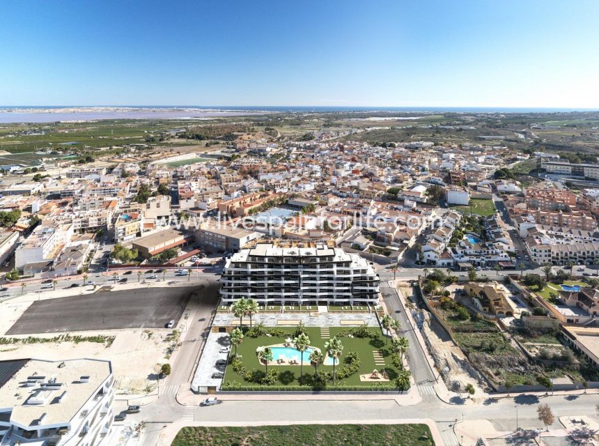 Nuevo - Apartments -
San Miguel De Salinas - Pueblo