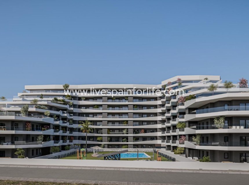 Nuevo - Apartments -
San Miguel De Salinas - Pueblo
