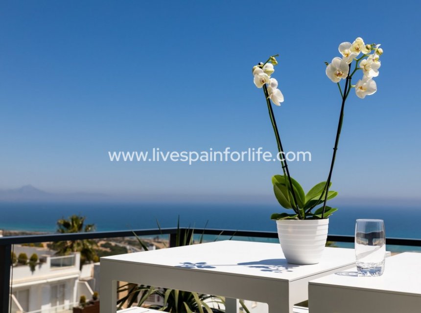 Nuevo - Apartments -
Santa Pola - Gran Alacant