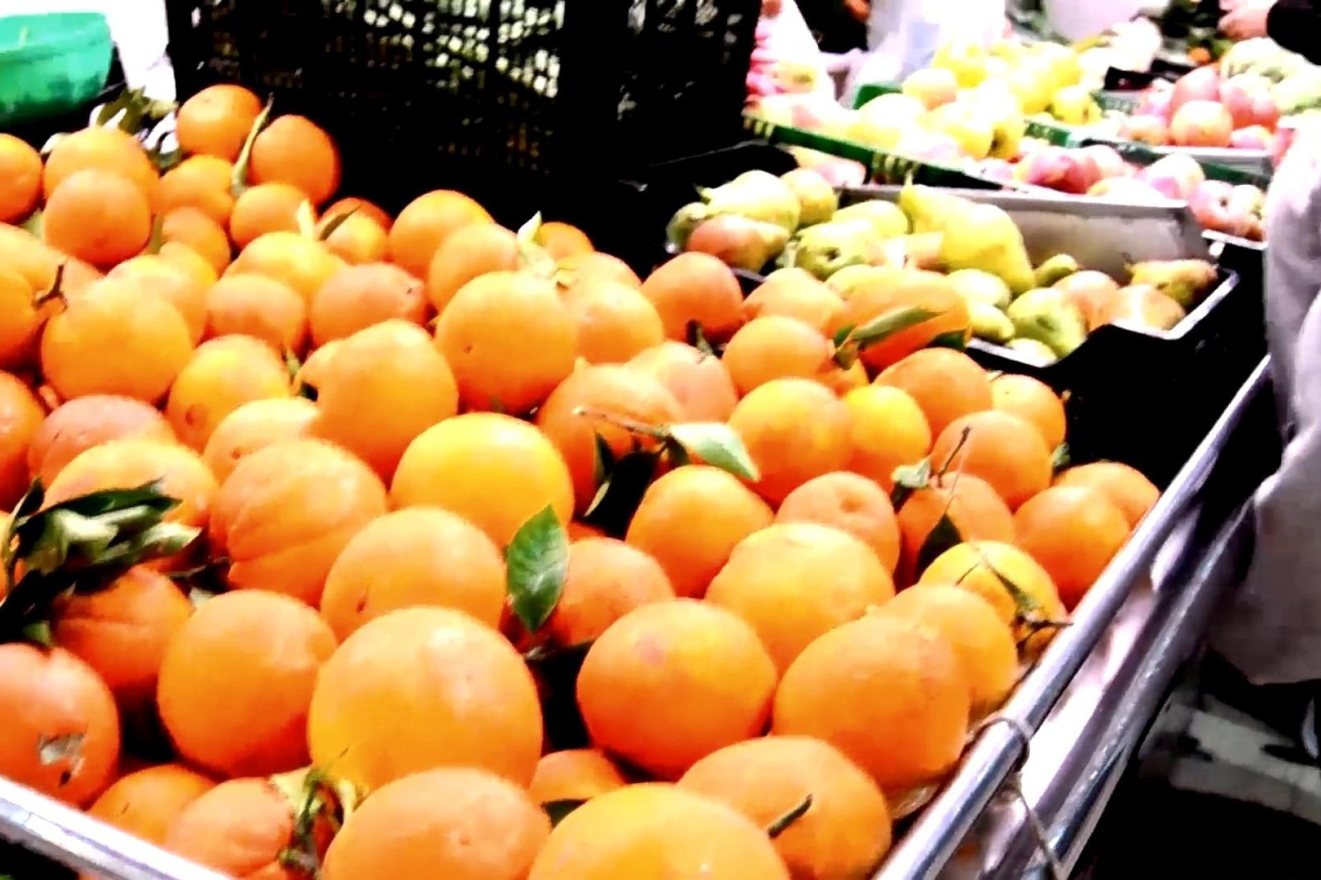 Nuevo - Apartments -
Torrevieja - Centro