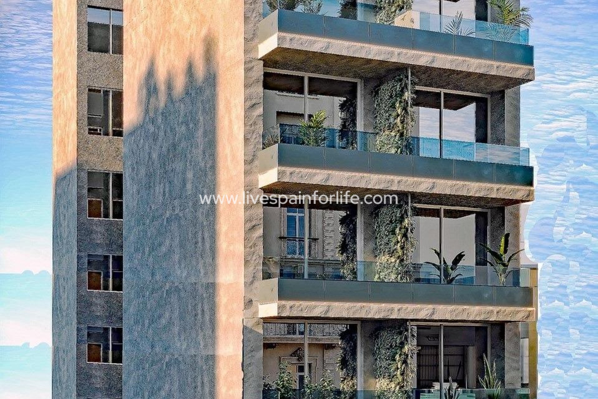 Nuevo - Apartments -
Torrevieja - Centro