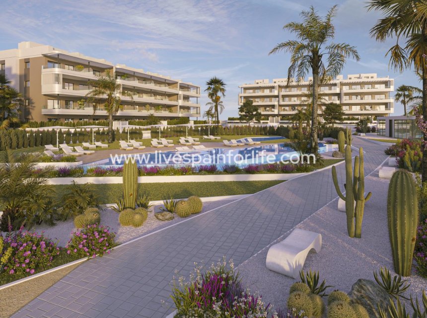Nuevo - Apartments -
Torrevieja - Elche