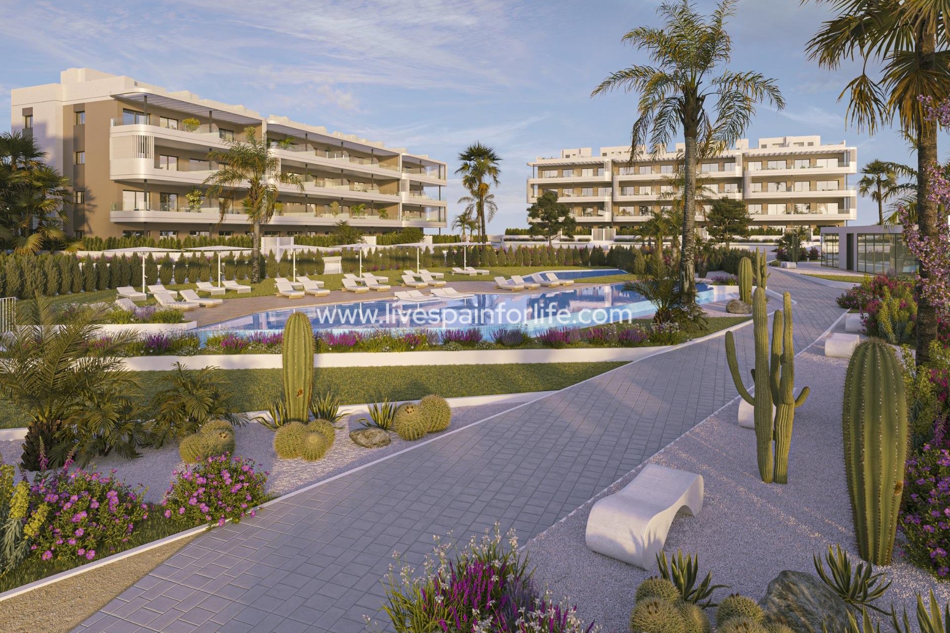 Nuevo - Apartments -
Torrevieja - La Hoya