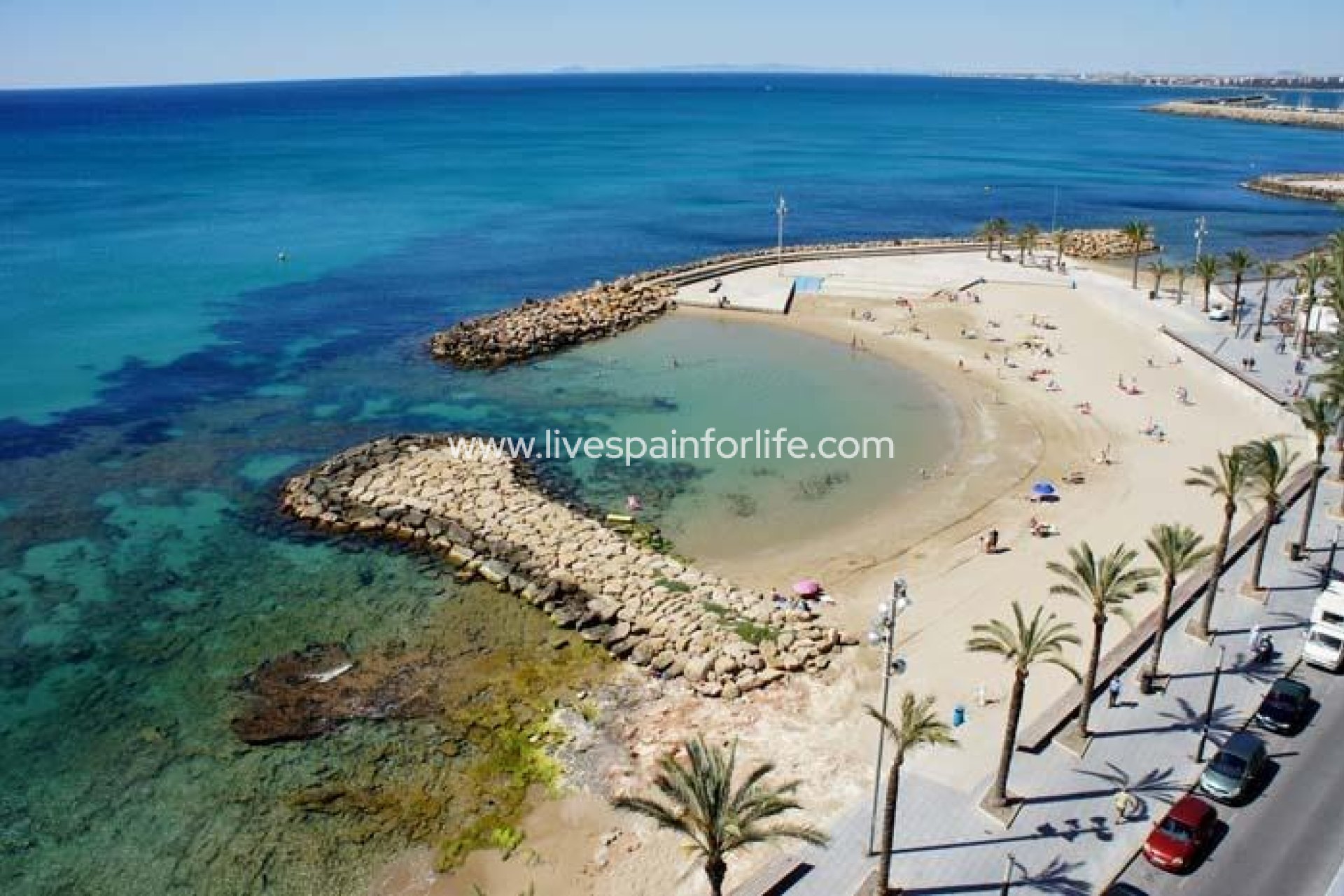 Nuevo - Apartments -
Torrevieja - Playa De Los Locos