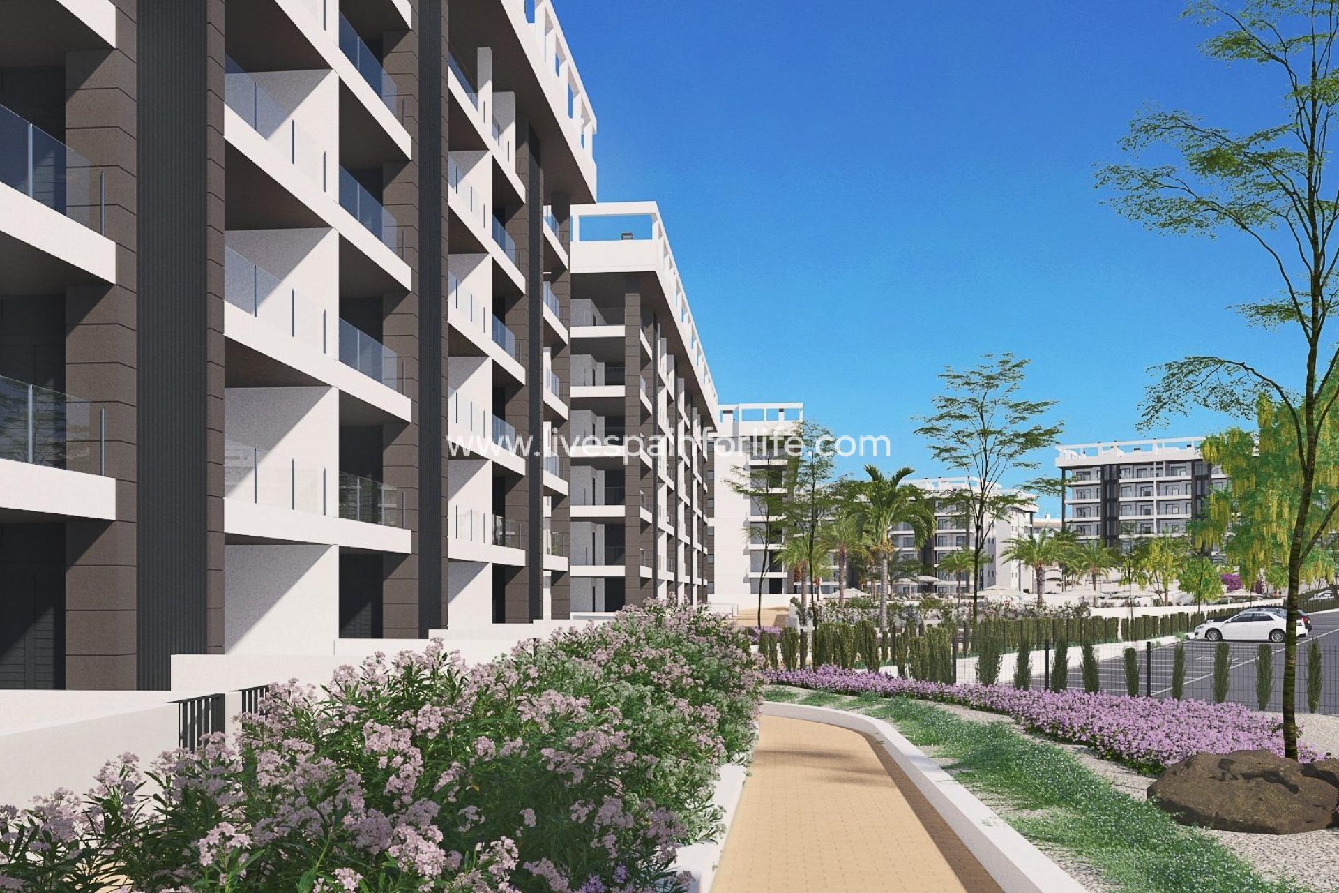 Nuevo - Apartments -
Torrevieja - Torreblanca