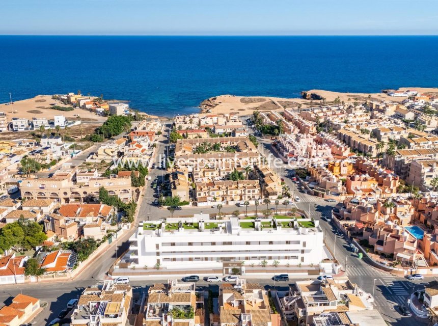 Nuevo - Apartments -
Torrevieja