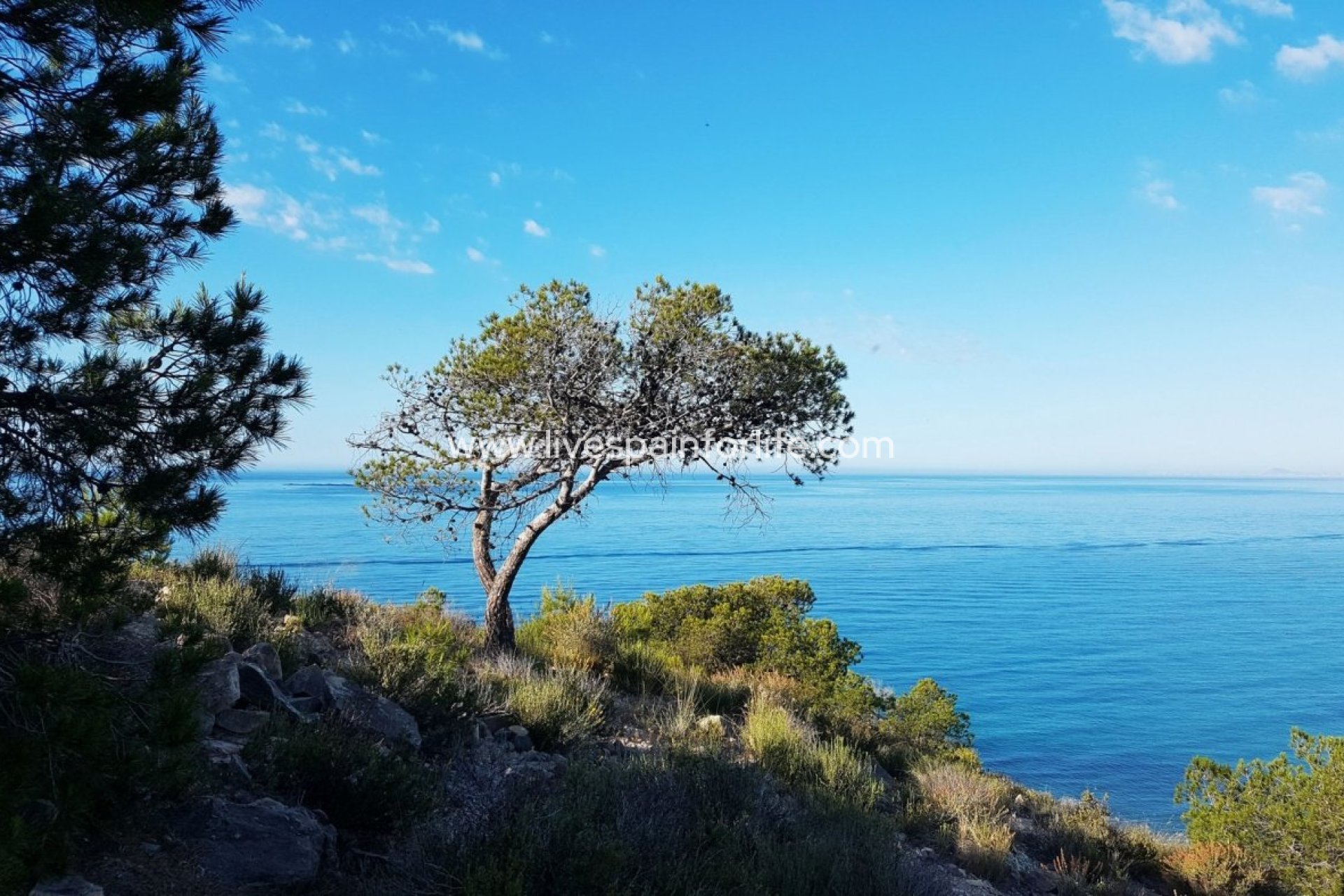 Nuevo - Apartments -
Villajoyosa - Playa Les Torres