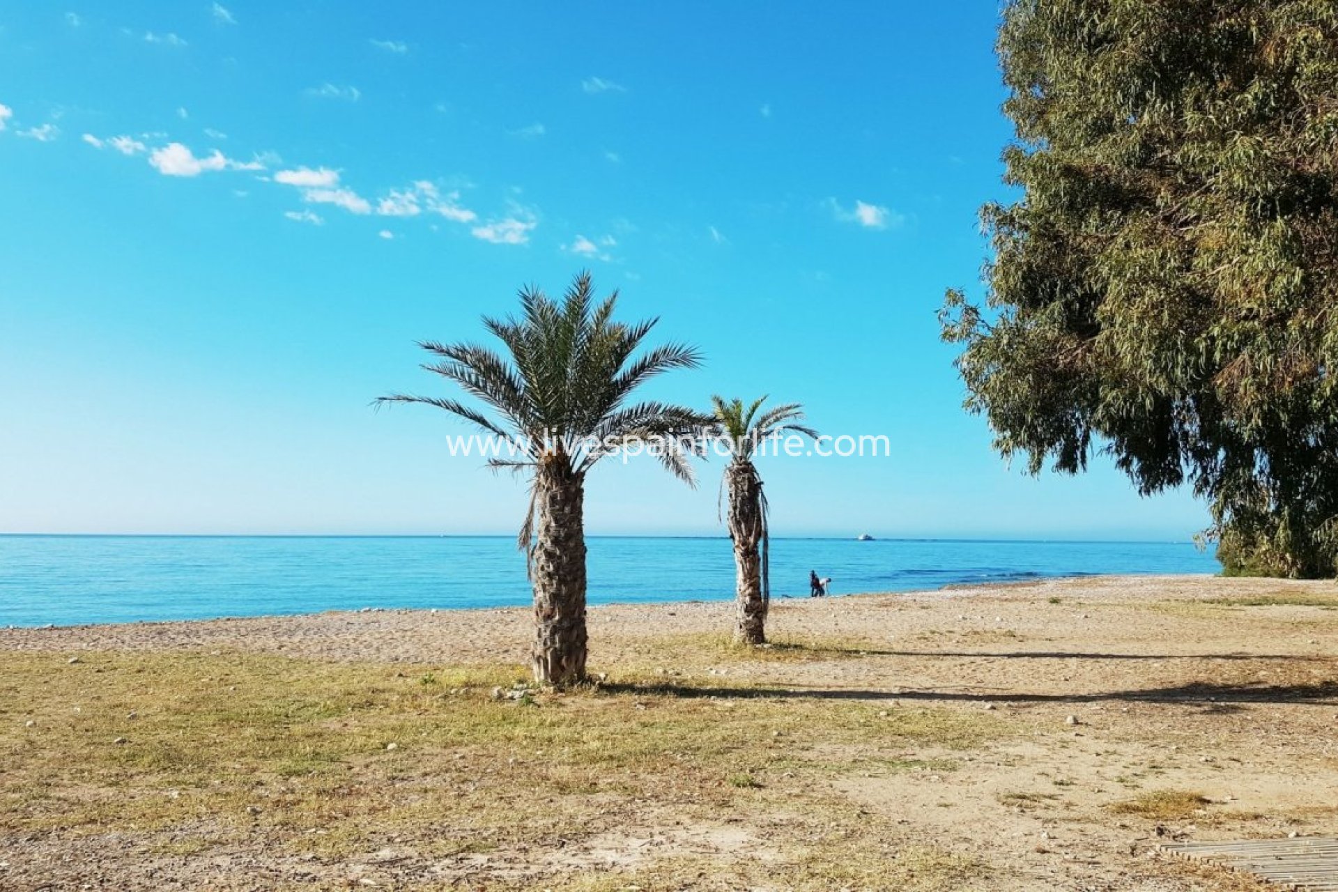 Nuevo - Apartments -
Villajoyosa - Playa Les Torres