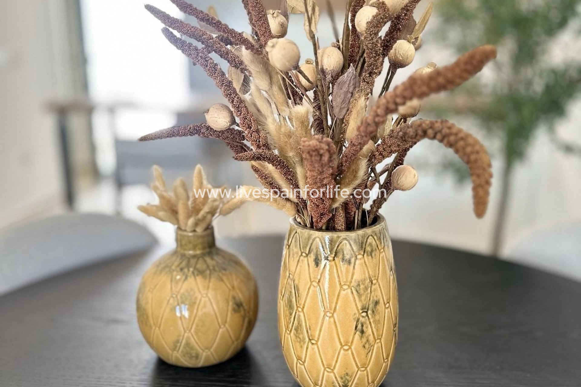 Nuevo - Bungalow -
San Fulgencio - Pueblo