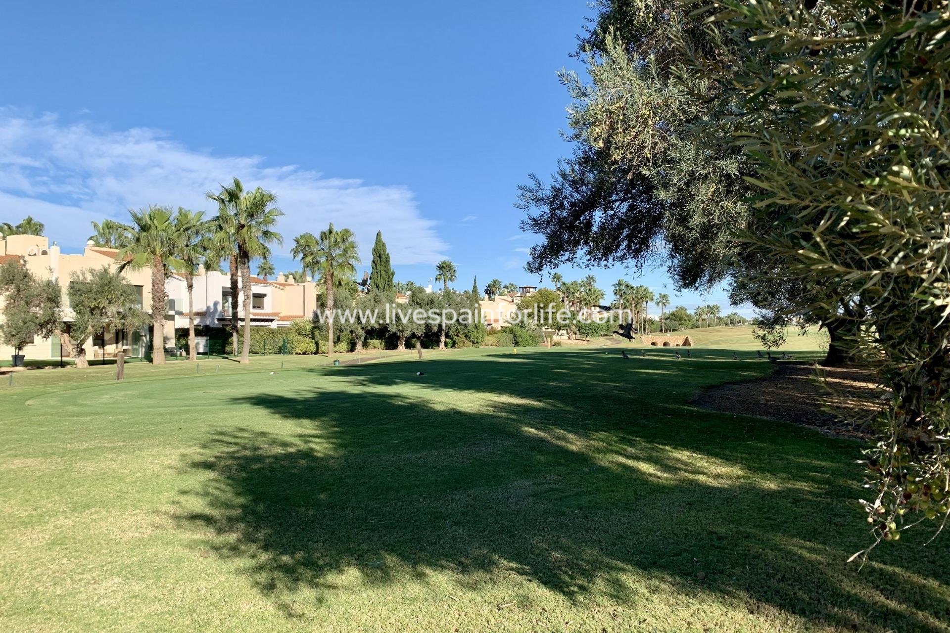 Nuevo - Bungalow -
San Javier - Roda Golf