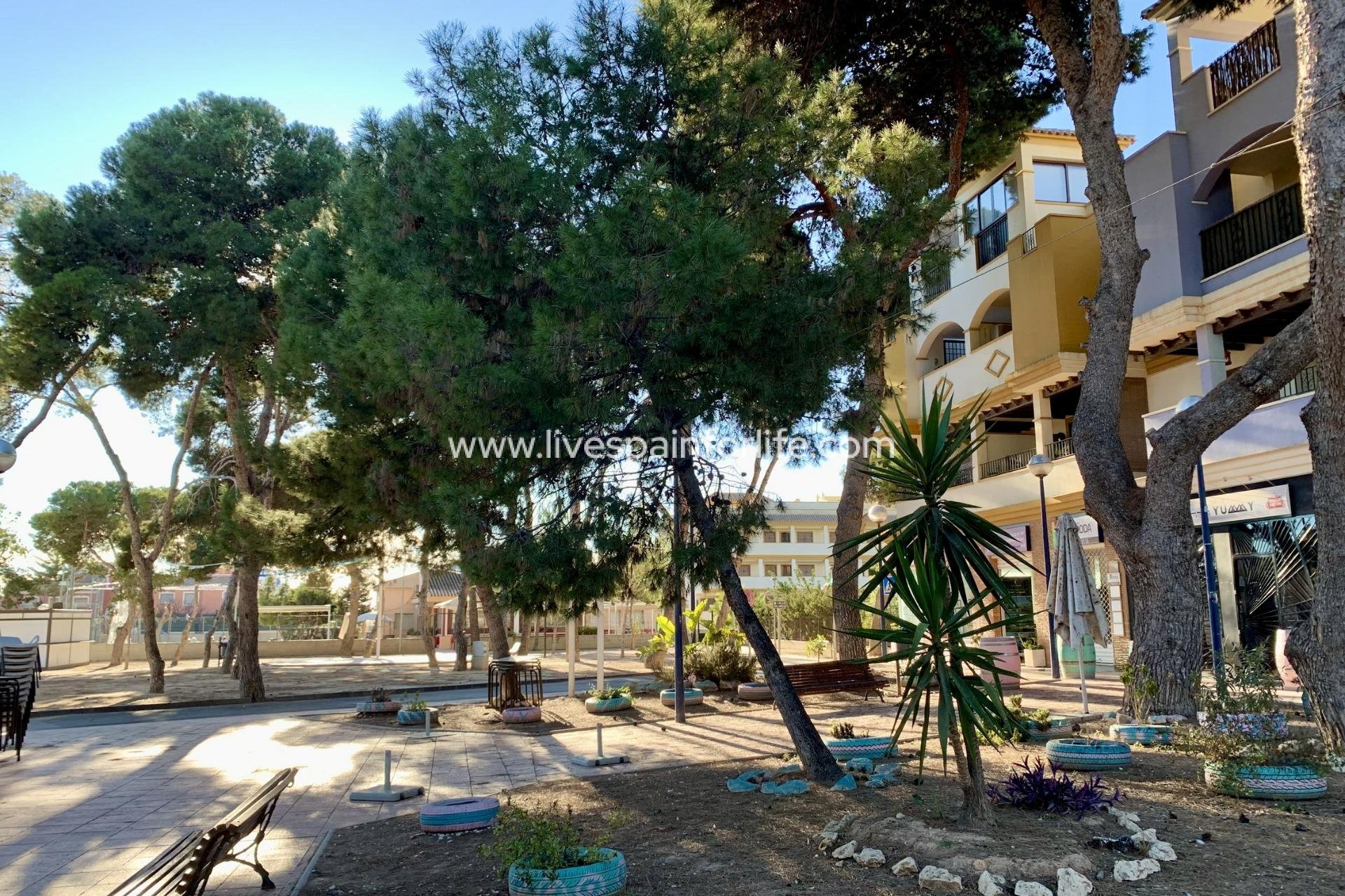 Nuevo - Bungalow -
San Javier - Roda Golf