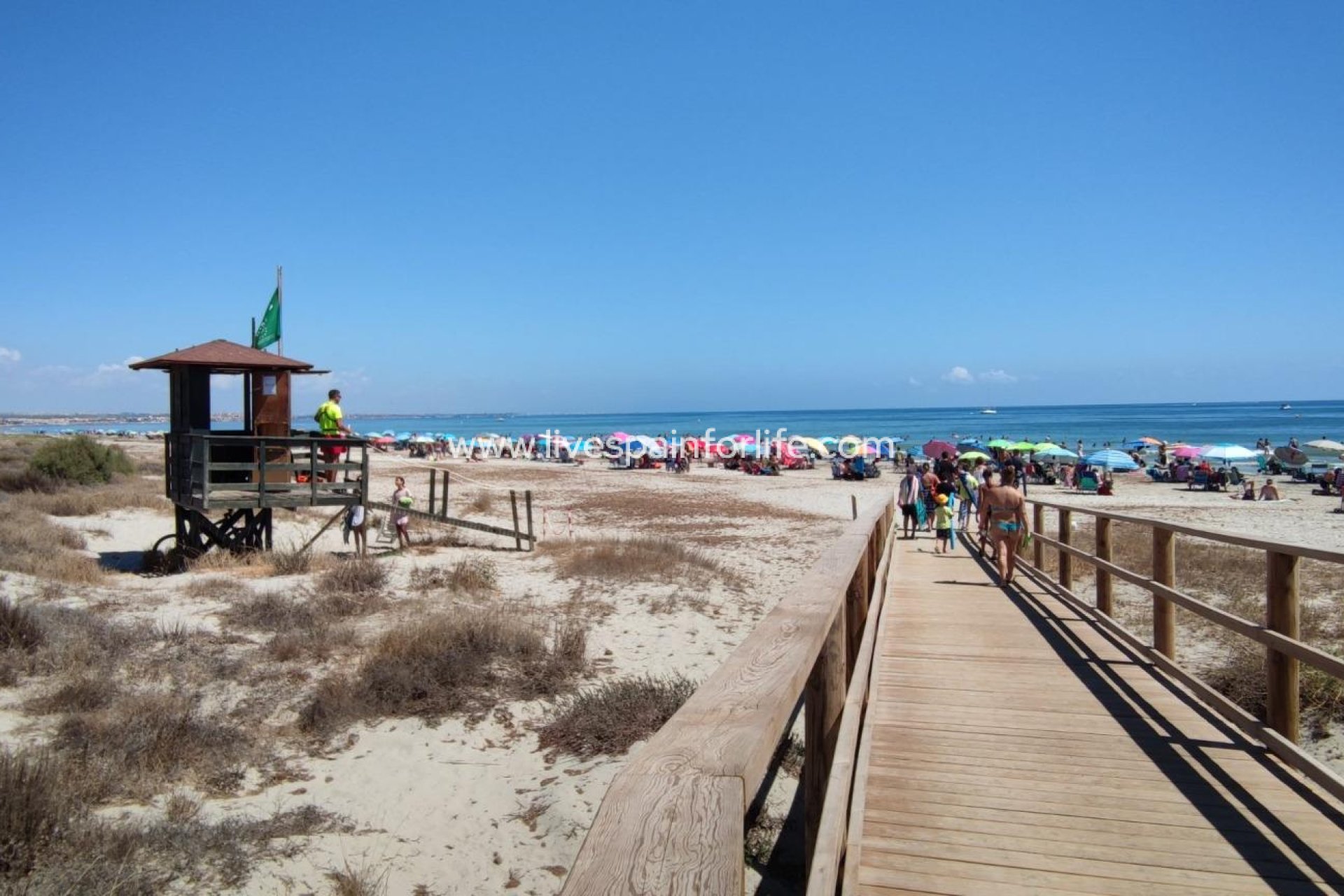 Nuevo - Bungalow -
San Pedro del Pinatar - Las Esperanzas