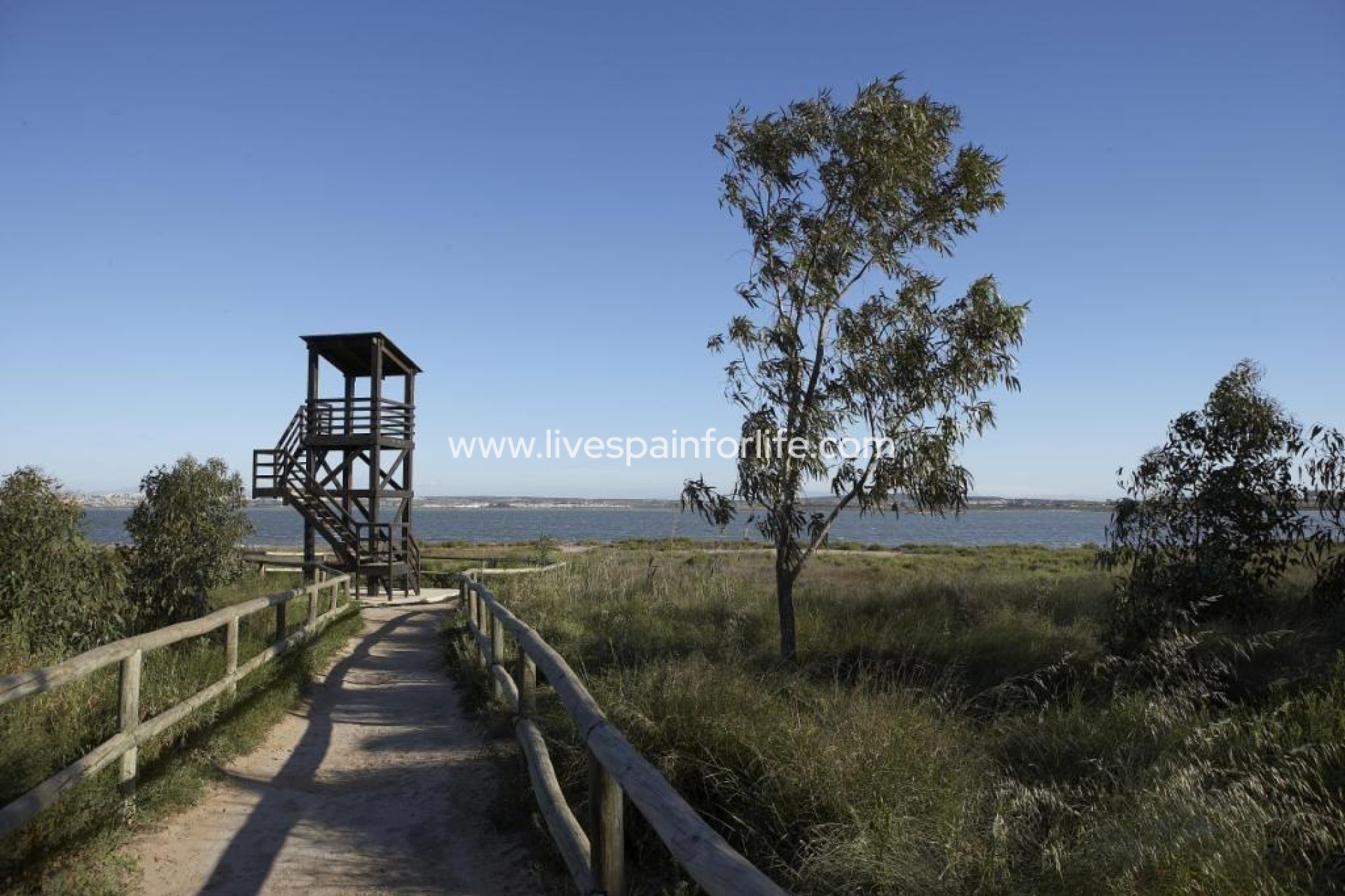 Nuevo - Bungalow -
Torrevieja - Altos del Sol