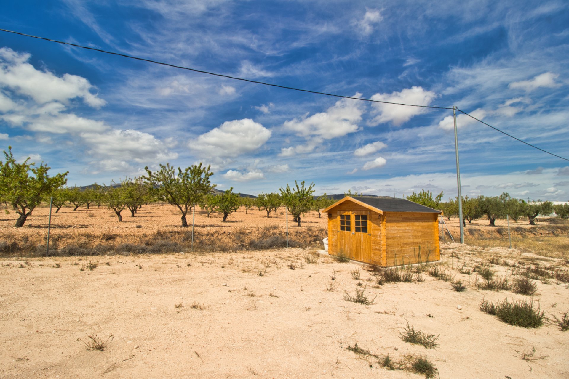 Nuevo - Country house -
Pinoso