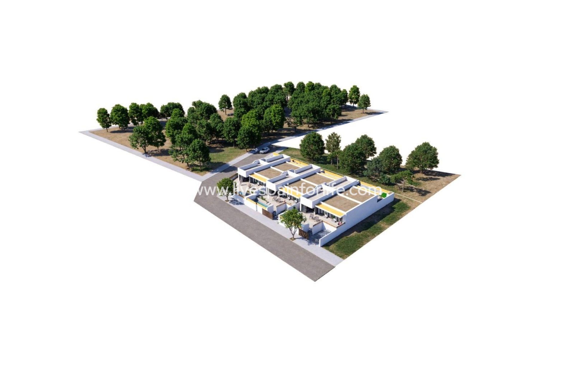 Nuevo - Town house -
Dolores