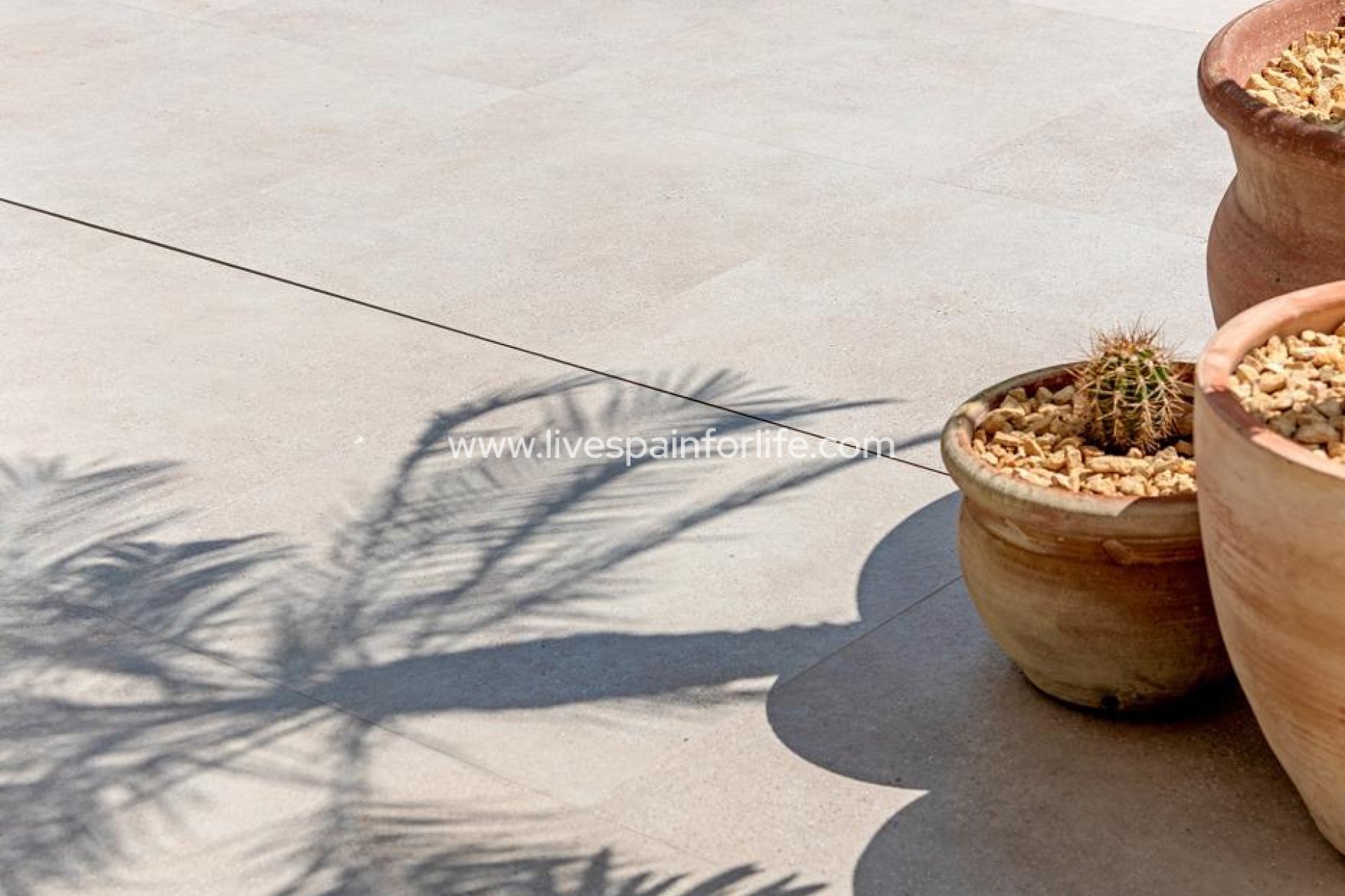 Nuevo - Town house -
Dolores