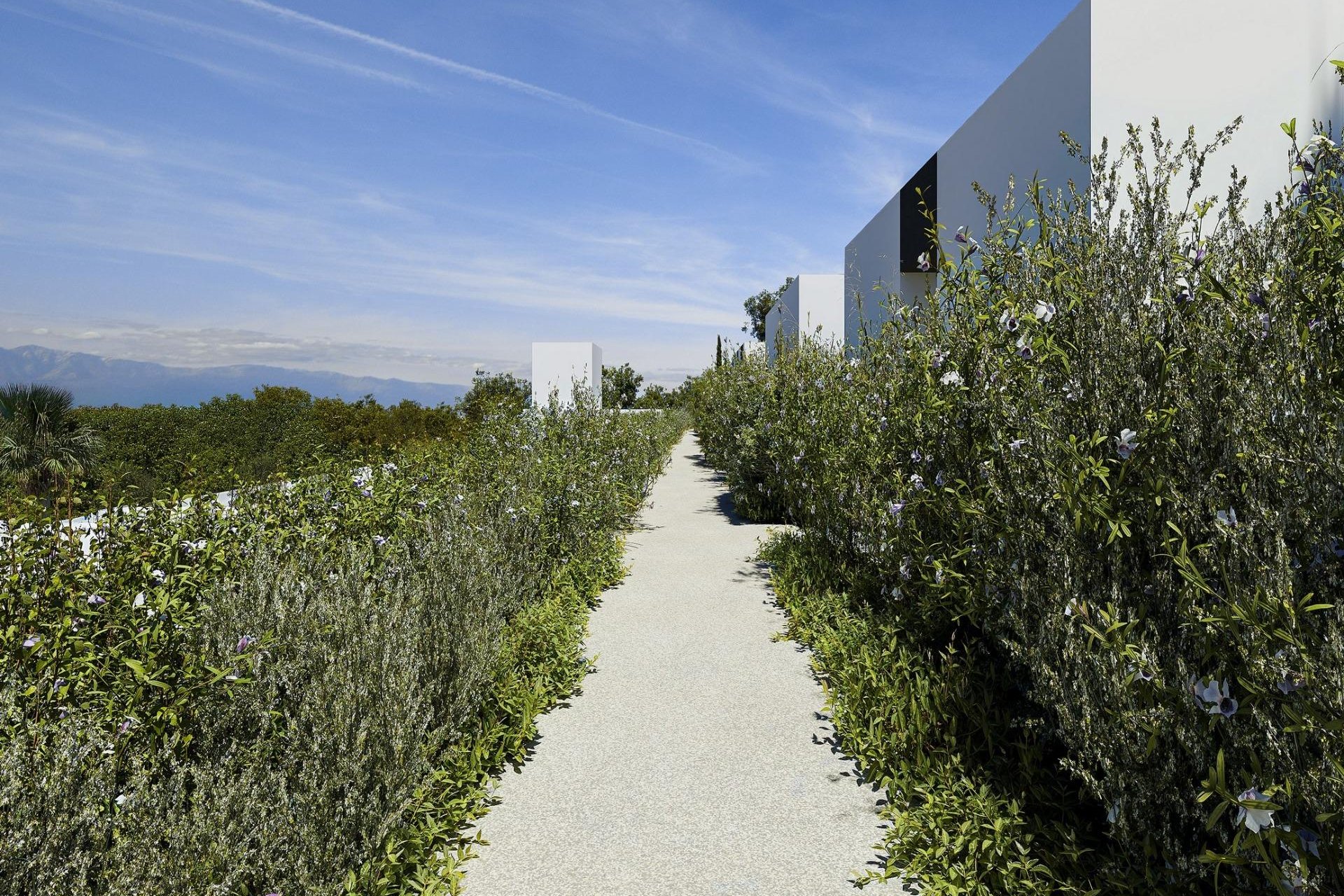 Nuevo - Villa (detached) -
Alfas del Pi - Barranc Fondo