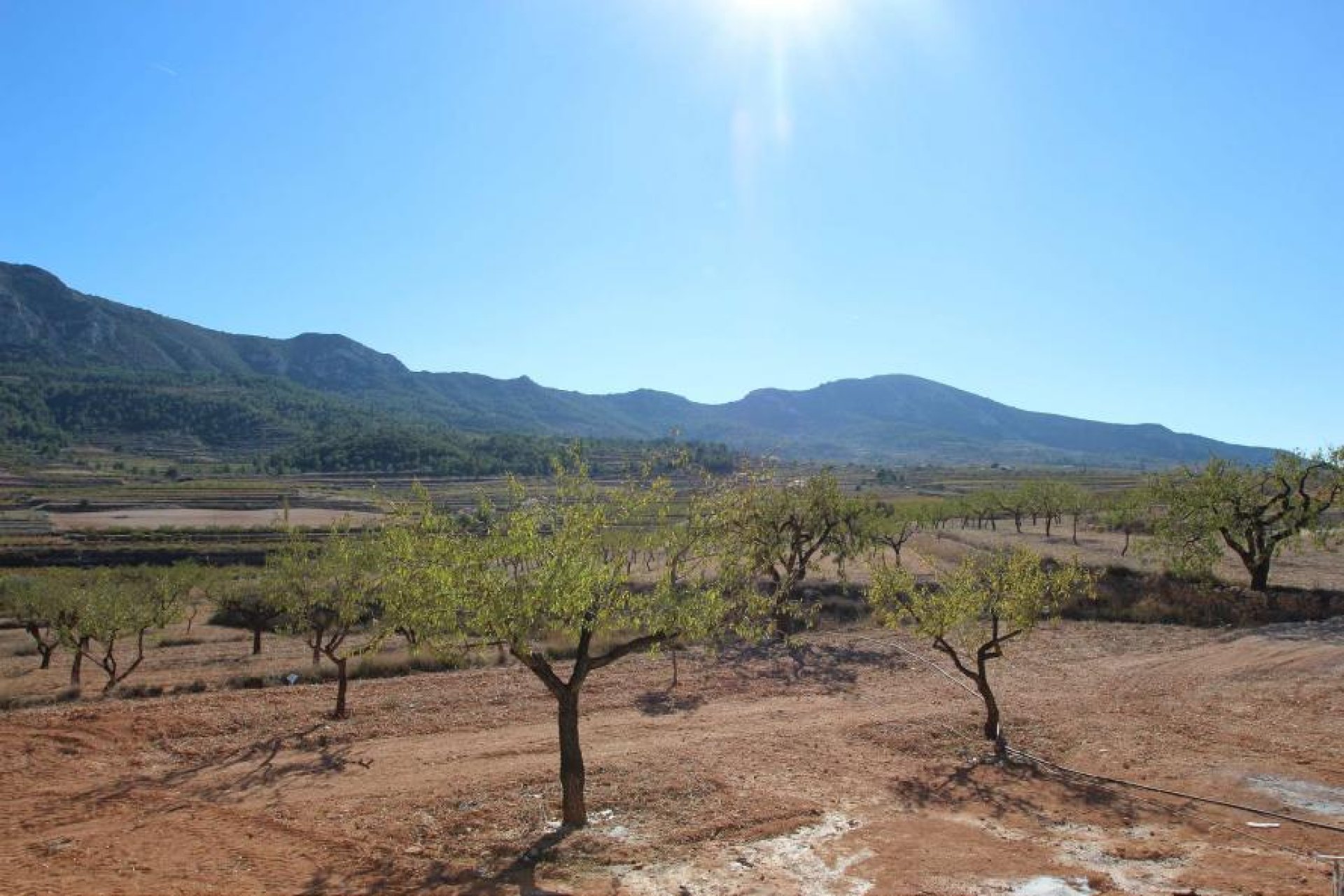 Nuevo - Villa (detached) -
Hondon De Las Nieves