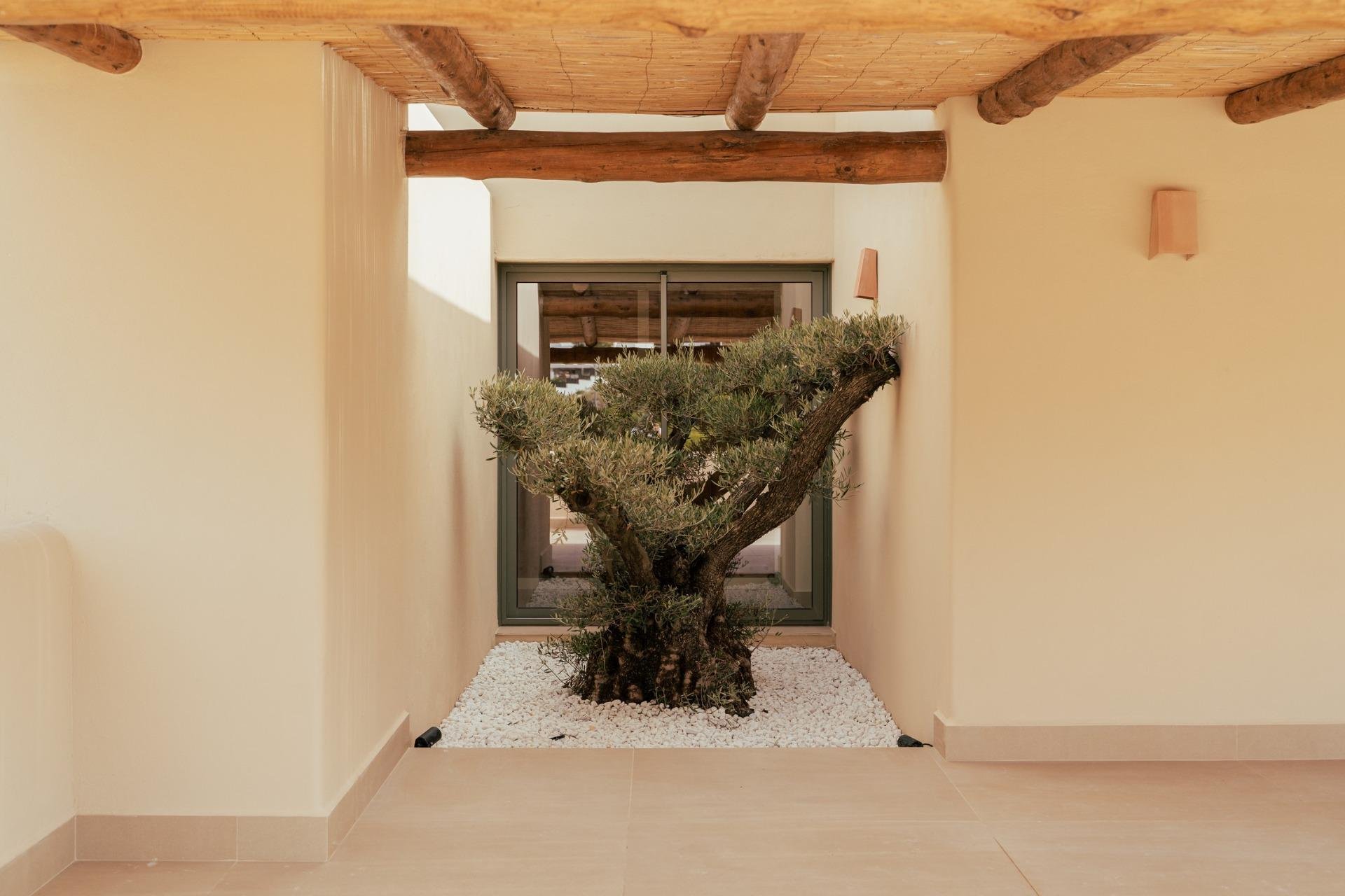 Nuevo - Villa (detached) -
Javea - Valle del Sol