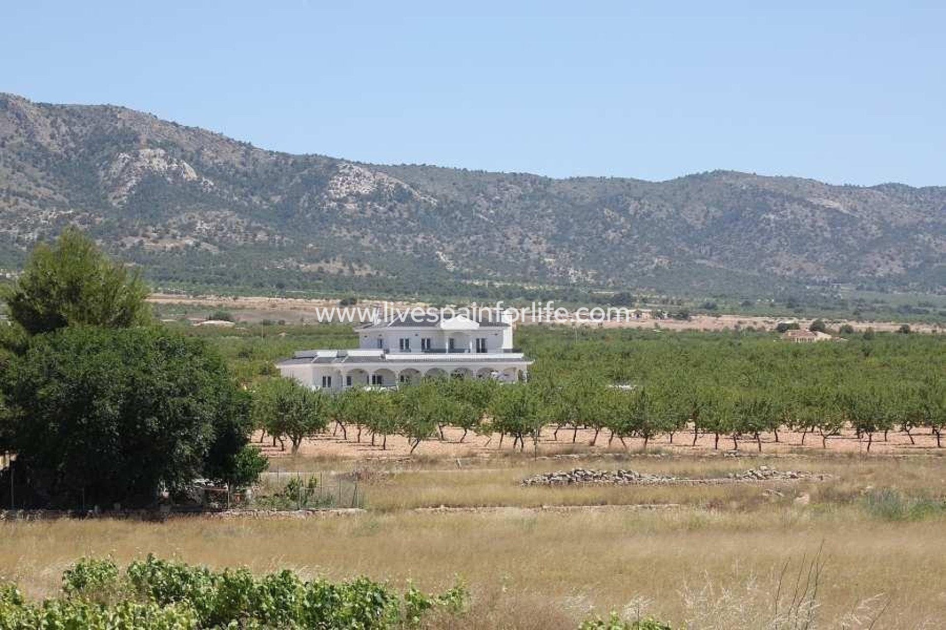 Nuevo - Villa (detached) -
Pinoso - Camino Del Prado