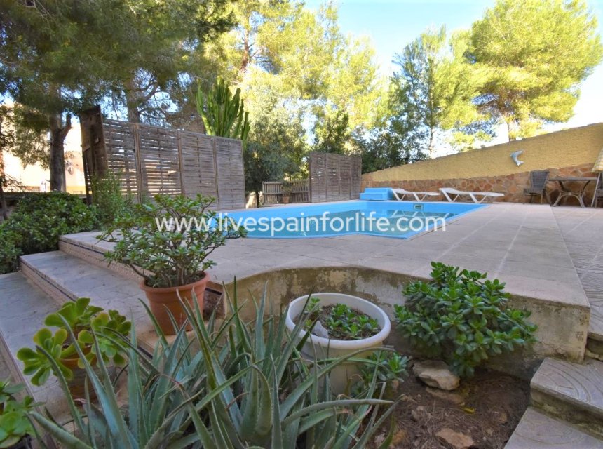  -  -
Orihuela Costa - Villamartin