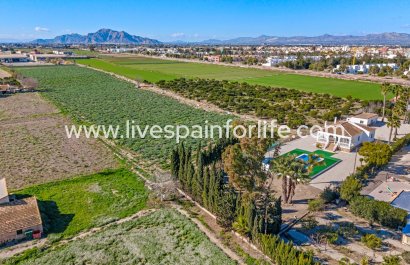 Plattelandswoning - Herverkoop - Alicante -
                    Alicante
