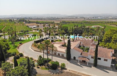 Plattelandswoning - Herverkoop - Alicante -
                    Alicante