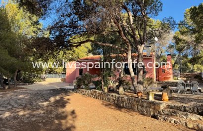 Plattelandswoning - Herverkoop - La Romana -
                    La Romana