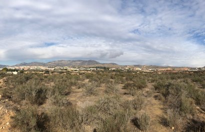 Plot of Land - Nuevo - Crevillent -
                    Crevillent