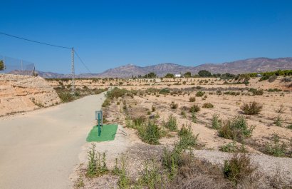 Plot of Land - Nuevo - Crevillent -
                    Crevillent