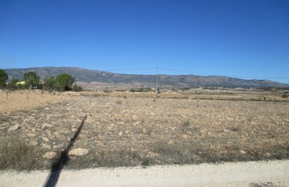 Plot of Land - Nuevo - Pinoso -
                    Pinoso