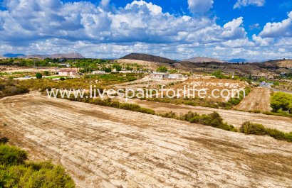 Plot of Land - Resale - Alicante -
                    Alicante