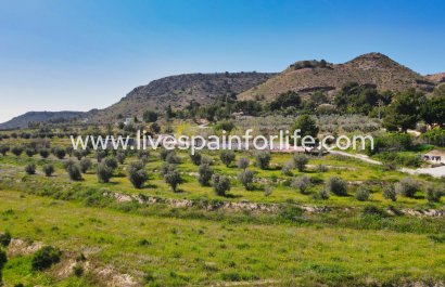 Plot of Land - Resale - Aspe -
                    Aspe