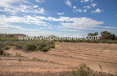 Plot of Land - Resale - Crevillent -
                    Crevillent
