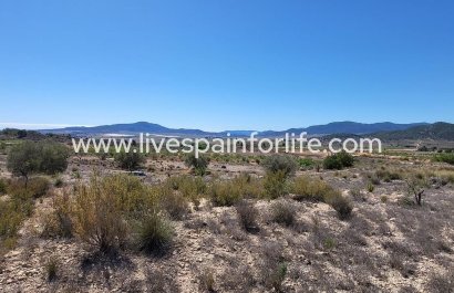 Plot of Land - Resale - Monovar -
                    Monovar