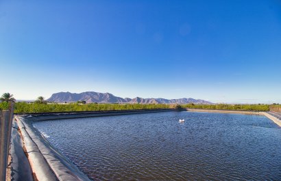 Plot of Land - Revente - Albatera -
                    Albatera