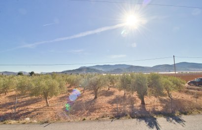 Plot of Land - Revente - Hondon De Las Nieves -
                    Hondon De Las Nieves