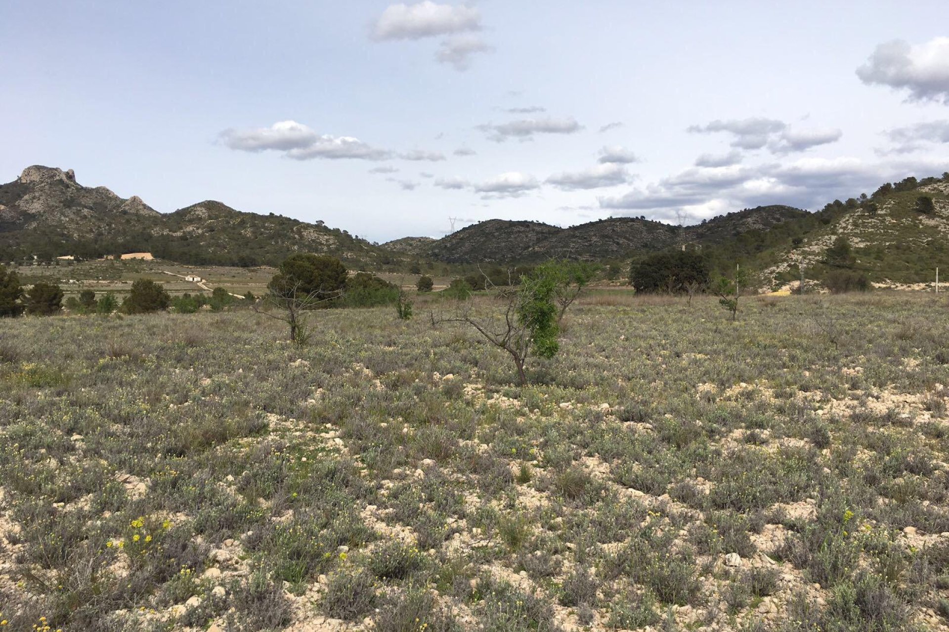  - Plot of Land -
Salinas