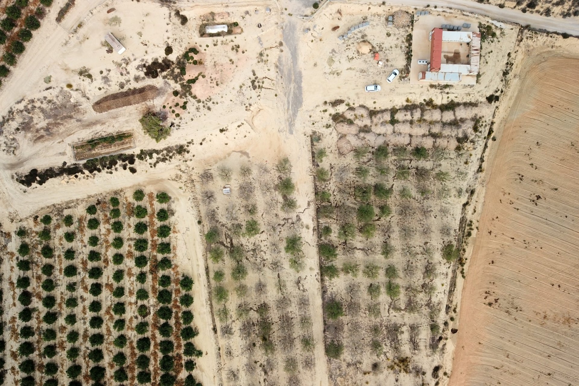  - Plot of Land -
Torremendo - Torremendo - Country