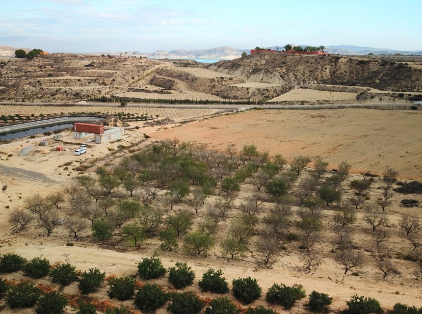  - Plot of Land -
Torremendo - Torremendo - Country