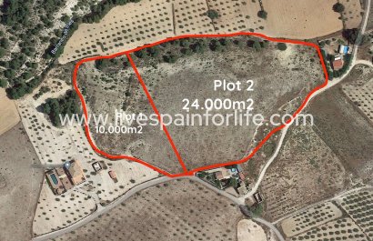 Plot of Land - Weiterverkauf - Salinas -
                    Salinas