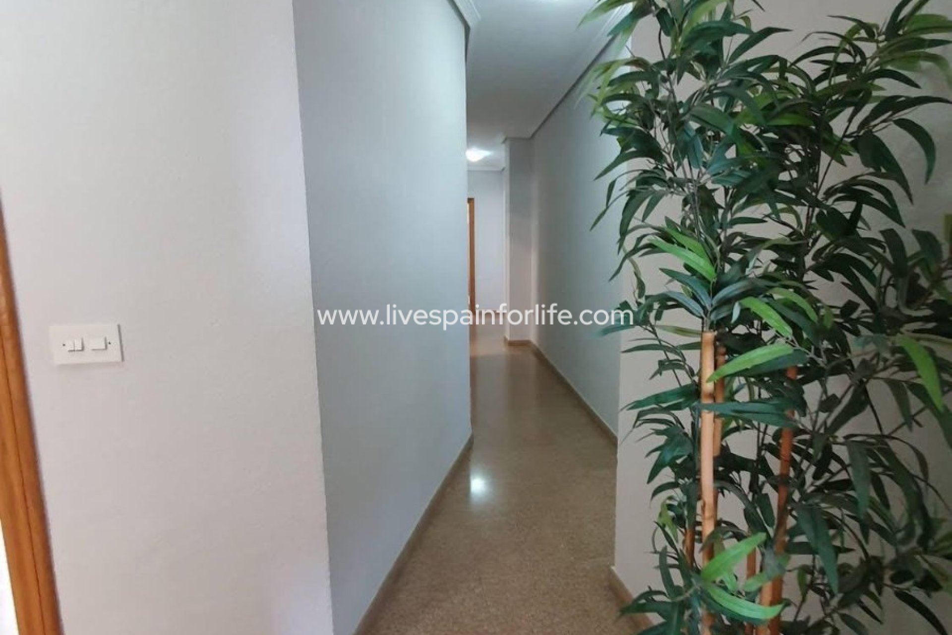 Resale - Apartments -
Callosa De Segura - Callosa de Segura