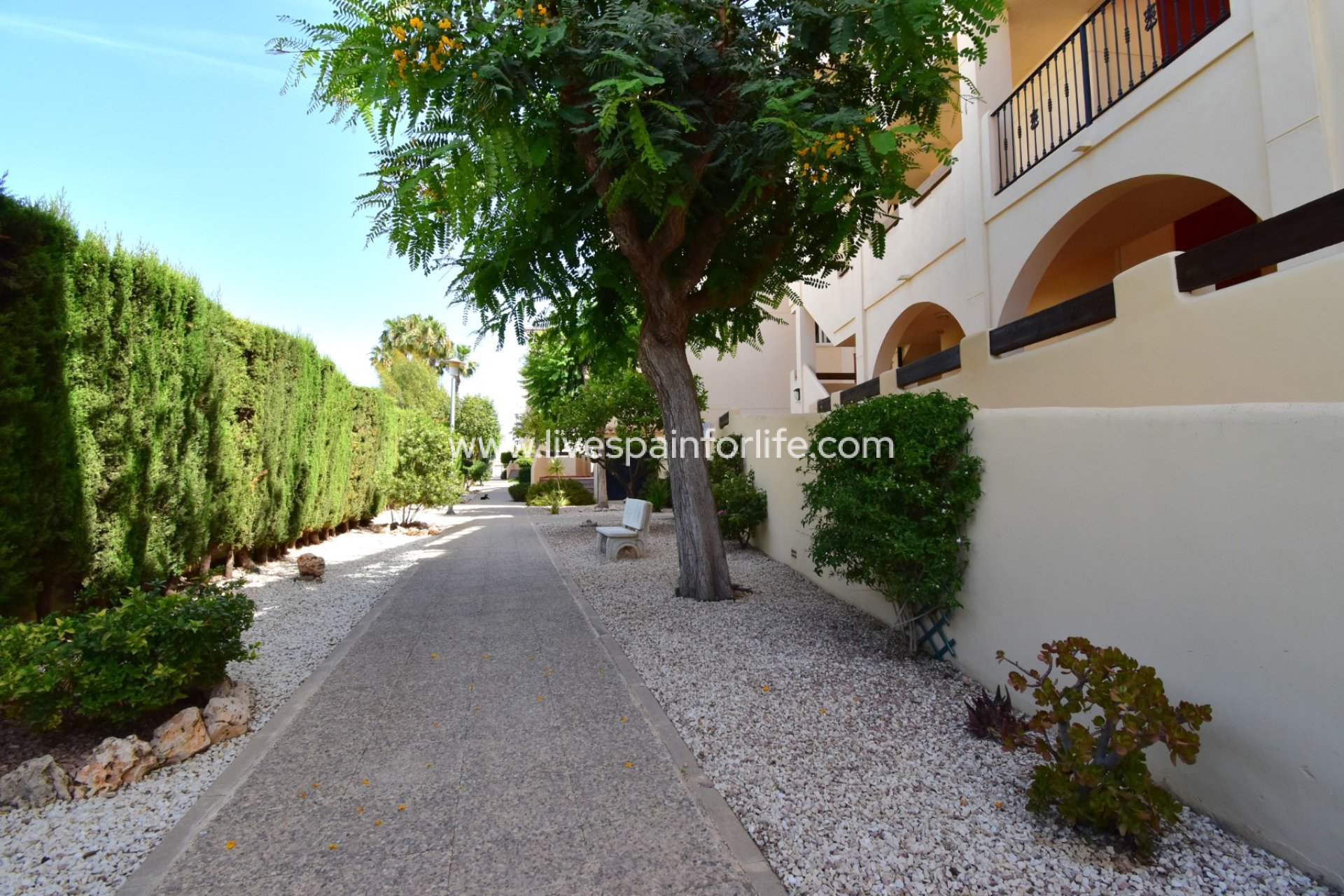 Resale - Apartments -
Orihuela Costa - Playa Flamenca