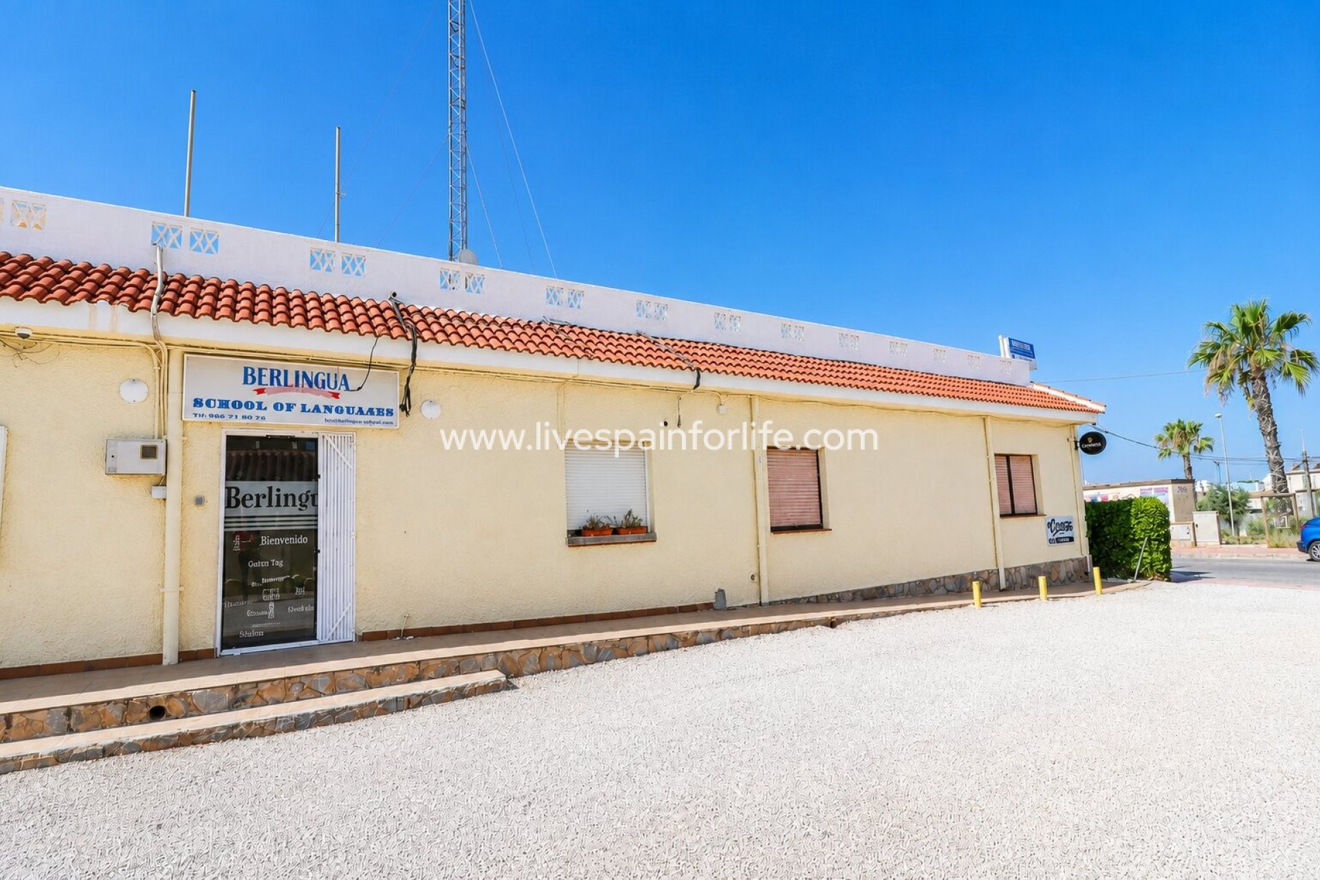 Resale - Commercial -
Ciudad Quesada - Doña Pepa