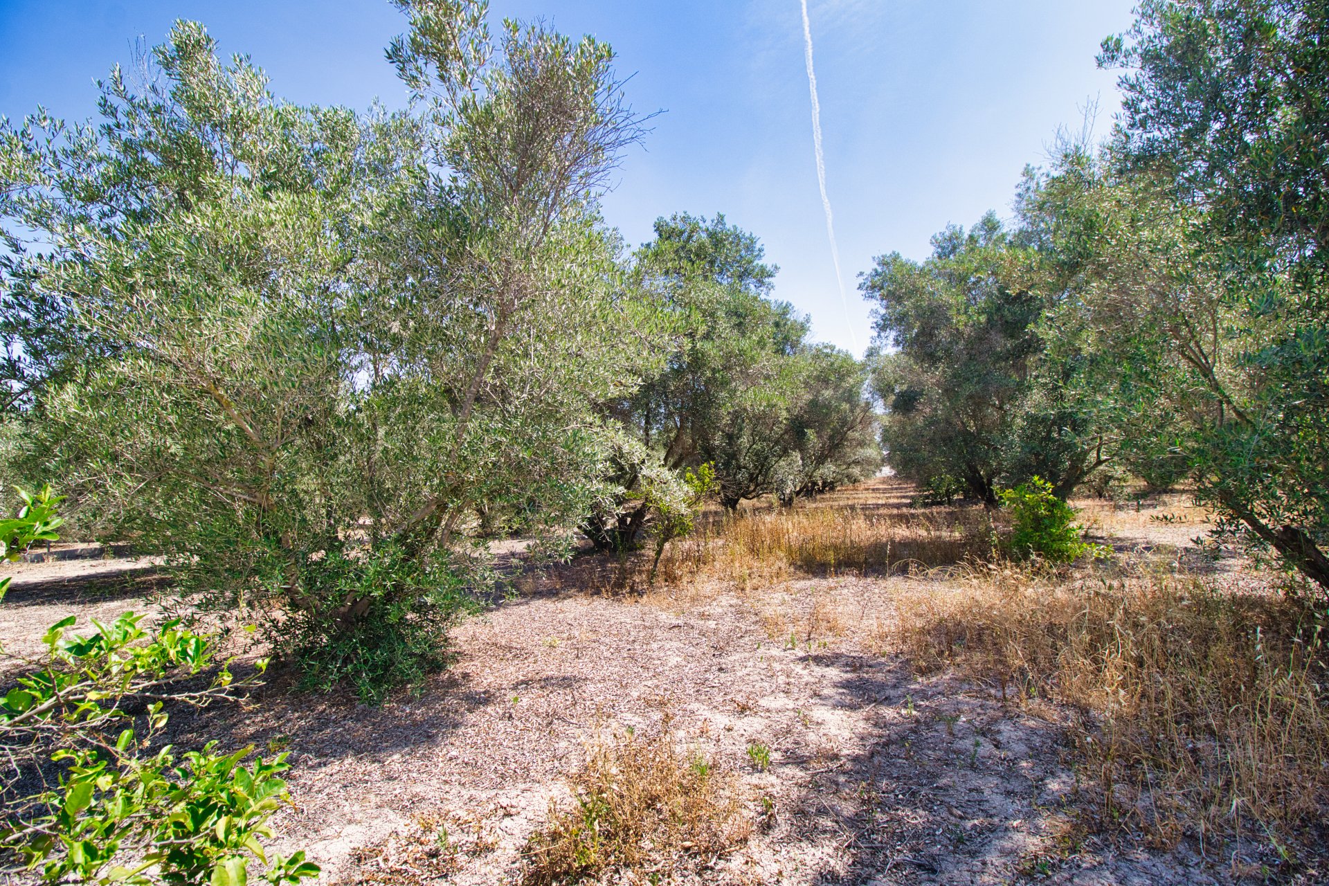 Resale - Commercial -
Dolores - 