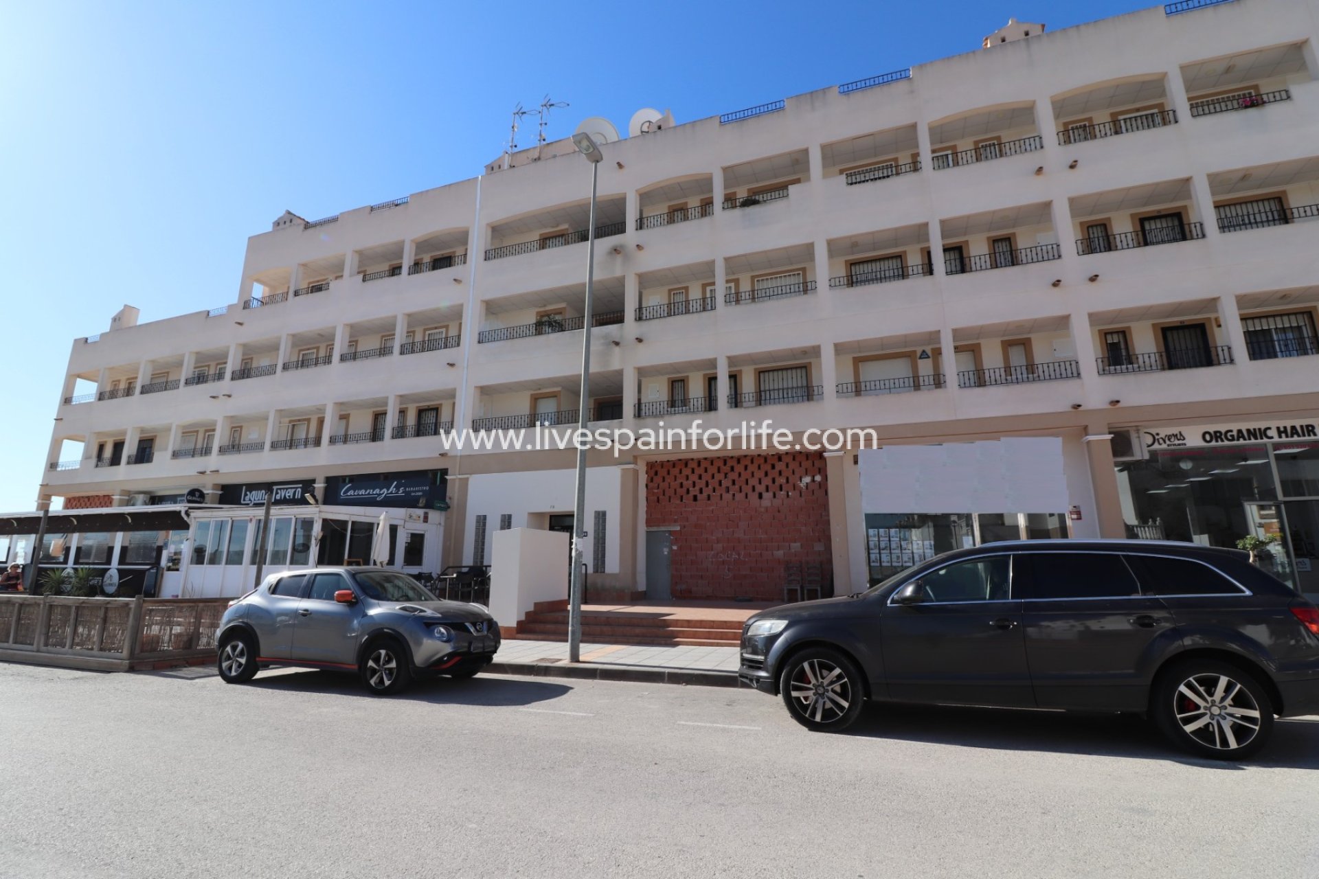 Resale - Commercial -
Los Montesinos - Entre Naranjos / Vistabella Golf