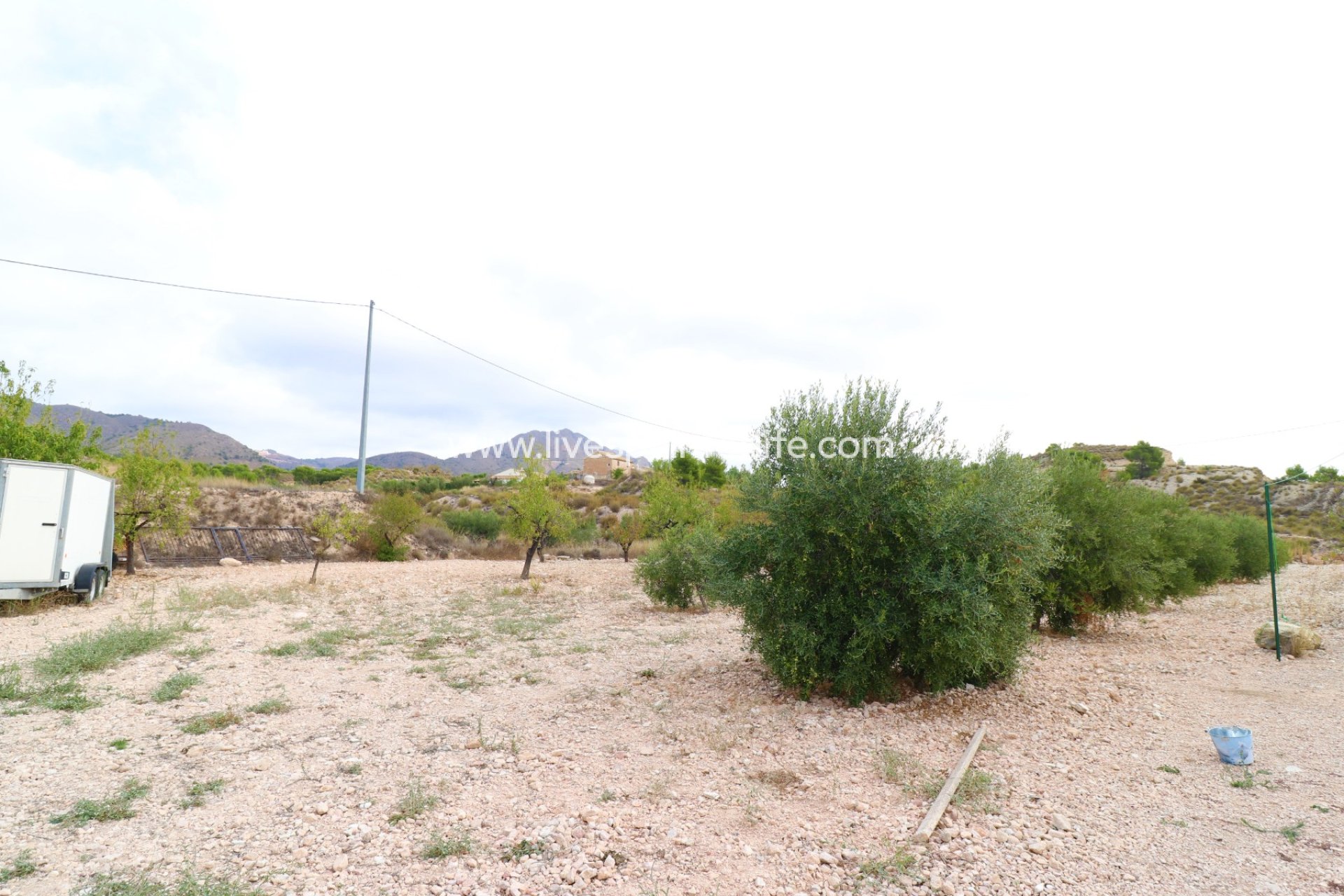 Resale - Country Property -
Abanilla