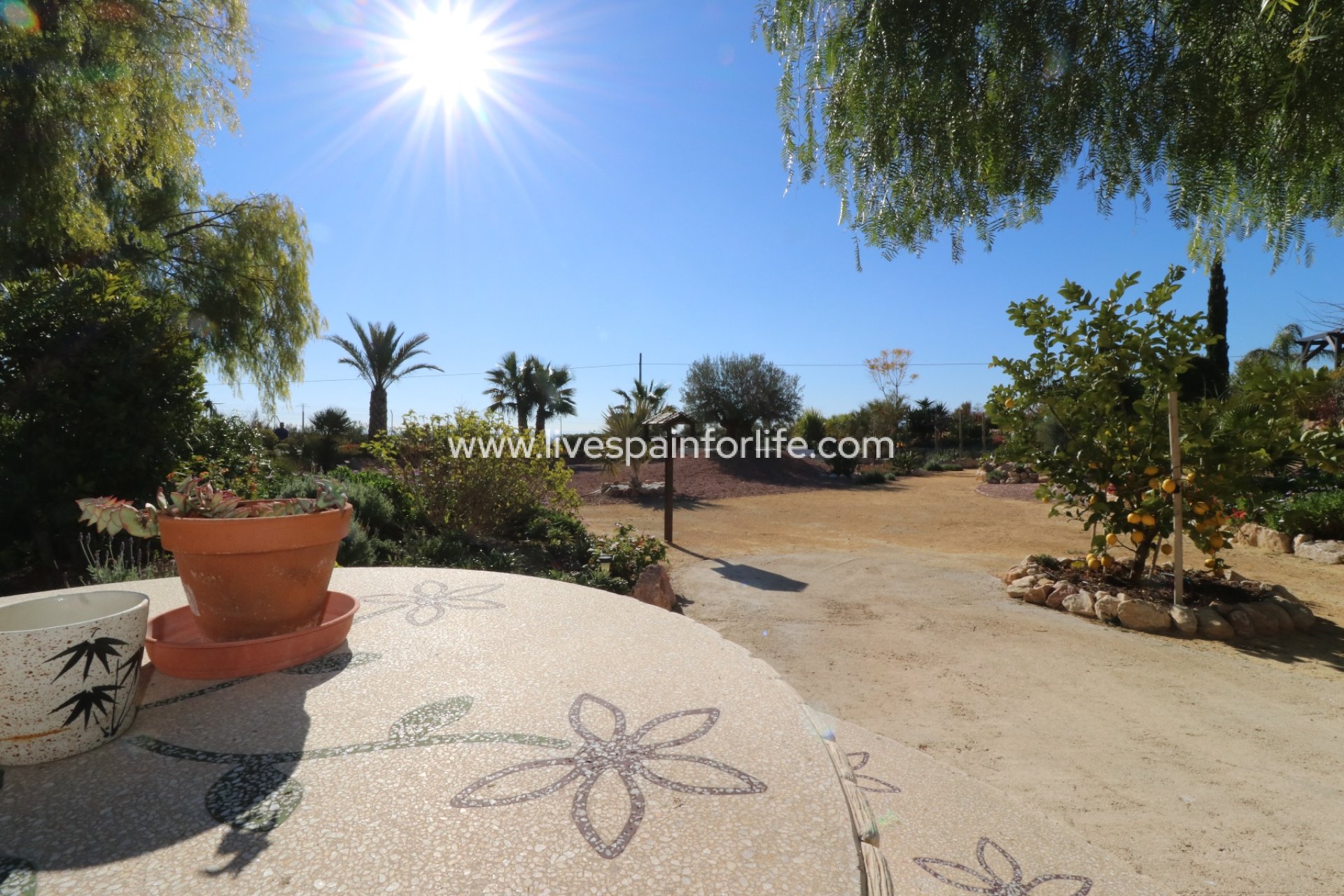 Resale - Country Property -
Albatera